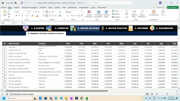 Resumen de patrimonio neto y liquidez en formato Excel