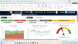Análisis completo de patrimonio neto y liquidez en Excel